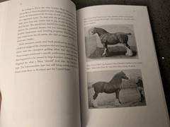 THE SHIRE DRAFT HORSE CHROICLES England/America **SIGNED**A.Wareing 2022 Hardcov