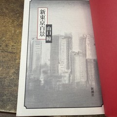 New Tokyo Hyakkei by Hitomi Yamaguchi (Paperback 1988) Japanese Novel Shinchosha