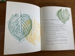 I found a leaf~Sharon Lerner~c1964~3rd ptg 1967~Lerner Publications~HB~36 pages