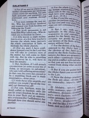 The Amplified Bible Giant Print Lockman Foundation AMP Bible SEE DETAILS