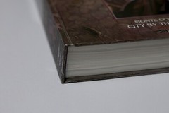 Ptolus Monte Cook’s City by the Spire Hardcover Dungeons & Dragons + Extra Book