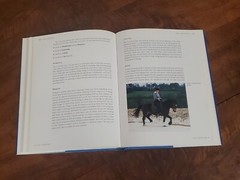 Solo Schooling – Horseriding by Wendy Jago / 2003, J.A. Allen