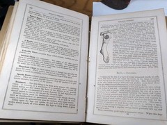 The Household Physician By Ira Warren 1864. 800 Pages