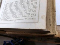 The Household Physician By Ira Warren 1864. 800 Pages