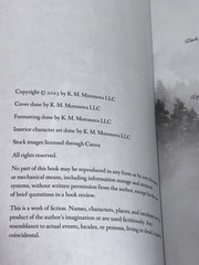 The Fabric of Our Souls Indie Out of Print OOP Paperback K.M. Moronova
