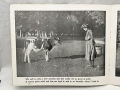 Adorable Antique Children’s Book COUNTRY PLAYMATES Great Color Images 12.25×9.75