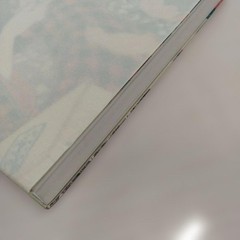 Delicious Ukiyo-e Exhibition 2020 318P HC ⚠️Paraffin 2mm tear