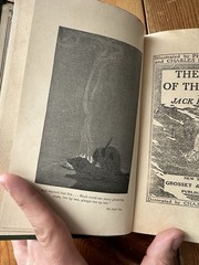 THE CALL OF THE WILD Jack London Antique 1906 Macmillan Illustrated Decorative