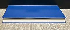 JAMES PAINE (STUDIES IN ARCHITECTURE, VOL 25) By Peter E. Leach 1988 HC/DJ