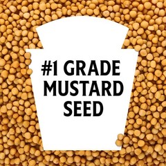 Heinz Yellow Mustard, 8 oz Bottle 8 Ounce (Pack of 1)
