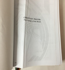 Christian Prayer Liturgy of the Hours Large Type Edition Flexible Faux Leather