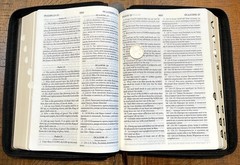 Russian/English Parallel Bible, Synodal/KJV, Black Imitation Leather Zip LARGE