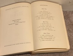THE DEVIL VINTAGE 1928 OCCULT RELIGION BOOK BY ALFRED NEUMANN