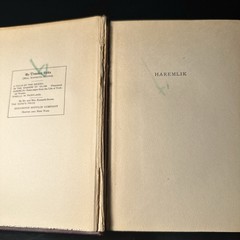 Haremlik, Life Of Turkish Women By Demetra Vaka – Houghton Mifflin 1909 HC
