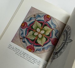 VINTAGE BOOK on the psychology of C.G. Jung mandala symbolism dreams archetypes