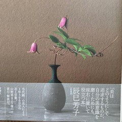 Toshio Kawase One Flower a Day, Shinchosha