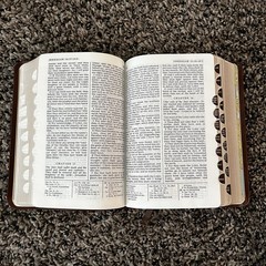 Brown Leather LDS Scripture Set – Holy Bible Book Of Mormon D&C Tabbed 5.25×7.5”
