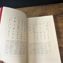 New Tokyo Hyakkei by Hitomi Yamaguchi (Paperback 1988) Japanese Novel Shinchosha