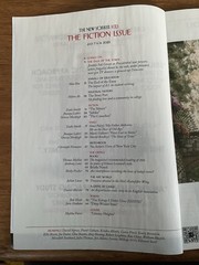 New Yorker 2025 July 7/14~Literary height~window cleaner reads~Christoph Niemann