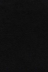 NIV, Thompson Chain-Reference Bible, European Bonded Leather, Black, Thumb Index