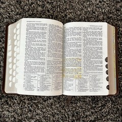 Brown Leather LDS Scripture Set – Holy Bible Book Of Mormon D&C Tabbed 5.25×7.5”