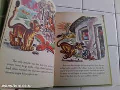 The Busy Baby Lion, A Wonder Book,1959(VINTAGE Children’s)
