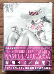 Namio Harukawa Art Book I & II Memorial Edition Set Illustration Book Japan