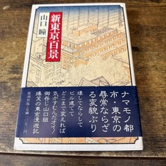 New Tokyo Hyakkei by Hitomi Yamaguchi (Paperback 1988) Japanese Novel Shinchosha