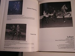 Equestrian WHO’S WHO IN AMERICAN SADDLEBREDS 1976 – 1983 equine history