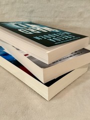 Lot of 3 Freida McFadden Books: The Crash, The Boyfriend, Ward D — EUC