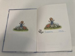 The Story of Daniel and the Lions An Alice in Bibleland Storybook – 1986 GOOD