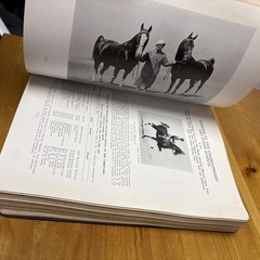 The OFFICIAL HORSE SHOW BLUE BOOK 1934 – The Equine Hall of Fame Equestrian 28th
