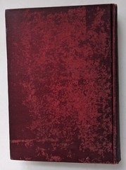 Mr. World Miss Church Member 20th Century Allegory W.S. Harris 1902 Dubs Krafft