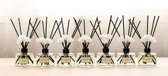 Reed Diffuser Set 6.7Oz (200Ml) Jasmine Scented Diffuser with Sticks Home Fragra