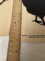 vintage “Latta’s 1930’s Paper Cutting Designs Silhouette Imagery Educational Art