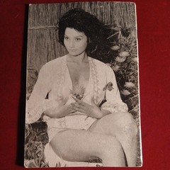 Spick Vintage Magazines Non Full Nudity issues number 151