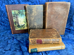 Tiny Antique Books; Miscellany, Plant World, Spectator, Columbian Orator #B46