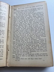Antique Ben Hur By Lew Wallace 1902 – DANISH Edition