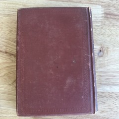 Palmetto-Leaves Harriet Beecher Stowe 1873 Illustrated James R. Osgood Florida