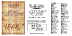 LARGE PRINT RESTORED NAMES BIBLE HalleluYah Scriptures & 2 FREE Books