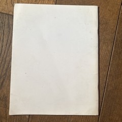 William Eggleston – Sorry We Are Not Sorry 1st Edition (slight marks on cover)