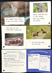 1st Grade – READING – GENRES (VARIETY) (30 books) (2006 – 2008)