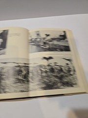 Battle For The Bundu World War I East Africa Charles Miller HC/DJ 1st Print 1974