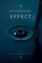 The Frequency Effect by Beau Harlem Paperback Book