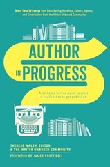 Author In Progress: A No-Holds-Barred Guide to What It Really Takes – VERY GOOD