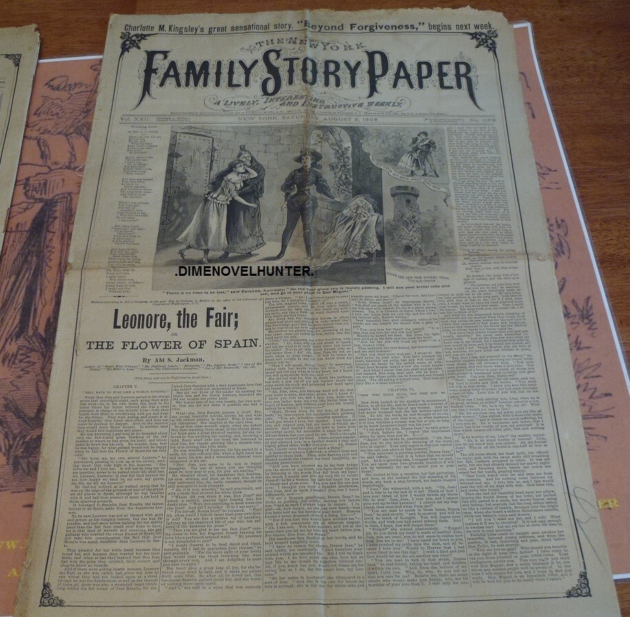 NEW YORK FAMILY STORY PAPER #1139 SCARCE NORMAN MUNRO 1895 STORY PAPER