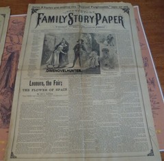 NEW YORK FAMILY STORY PAPER #1139 SCARCE NORMAN MUNRO 1895 STORY PAPER