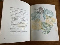 I found a leaf~Sharon Lerner~c1964~3rd ptg 1967~Lerner Publications~HB~36 pages