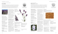 Encyclopedia of Herbal Medicine New Edition: 560 Herbs and Remedies for Common A