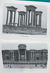 PALMYRA and its EMPIRE – Enemy of Rome 28mm 15mm History Book Richard Stoneman